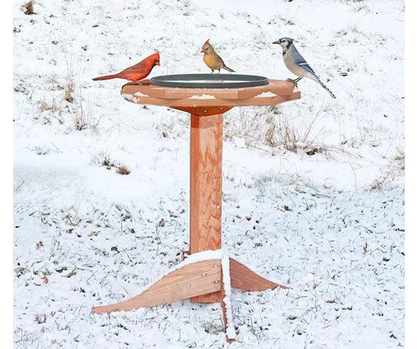 Heated Bird Bath
